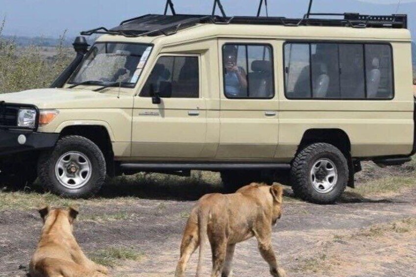 5-Day Epic Tanzania Safari Tour 4