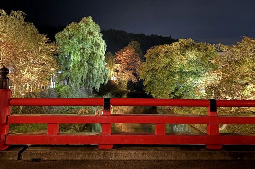 A red bridge with trees illuminated by artificial lighting at night. 2