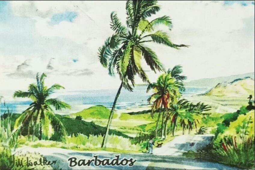 A tropical landscape with palm trees, a path, and a body of water. 2