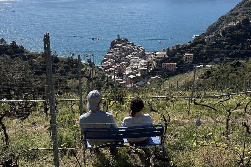 Heroic : Vineyard Trekking & Authentic Wine Tasting in Vernazza 4