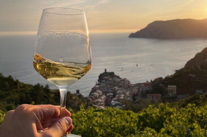 Una mano sosteniendo una copa de vino con un paisaje costero al fondo. 1