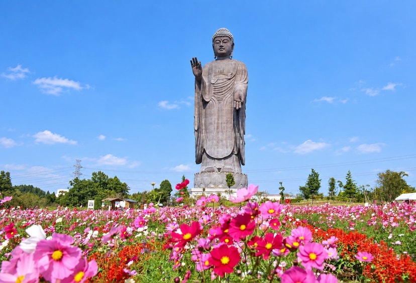 Eine große Buddha-Statue inmitten eines bunten Blumenfeldes. 4
