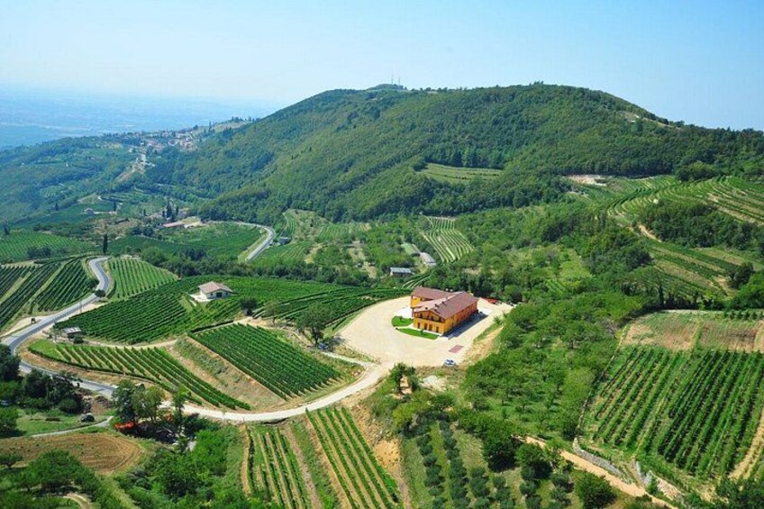 Exclusive Private 3 Days Amarone Wine Experience from Florence 3