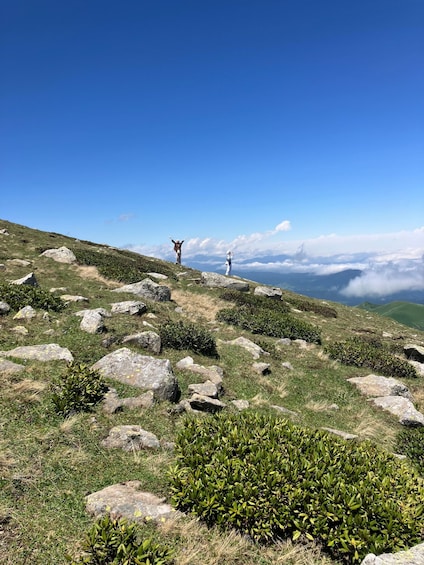 Bakuriani: Cable Car Ride and Mitarbi Village Tour 1