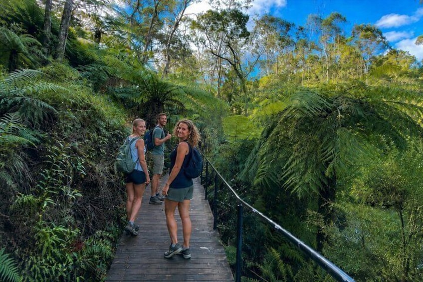 Blue Mountains 3 Guided Scenic Walks, 2 Falls & Towns from Sydney 1
