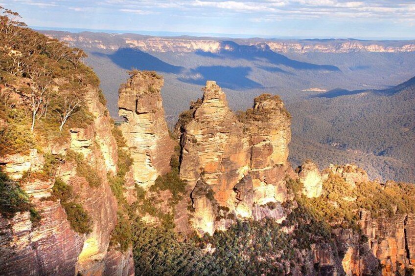 Blue Mountains 3 Scenic Walks & Ultimate Guided Tour from Sydney 5