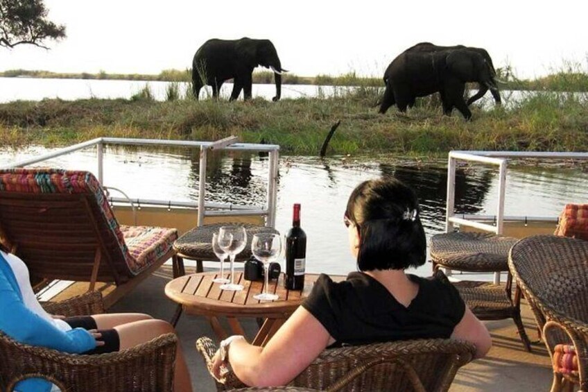 Chobe River Lunch Cruise