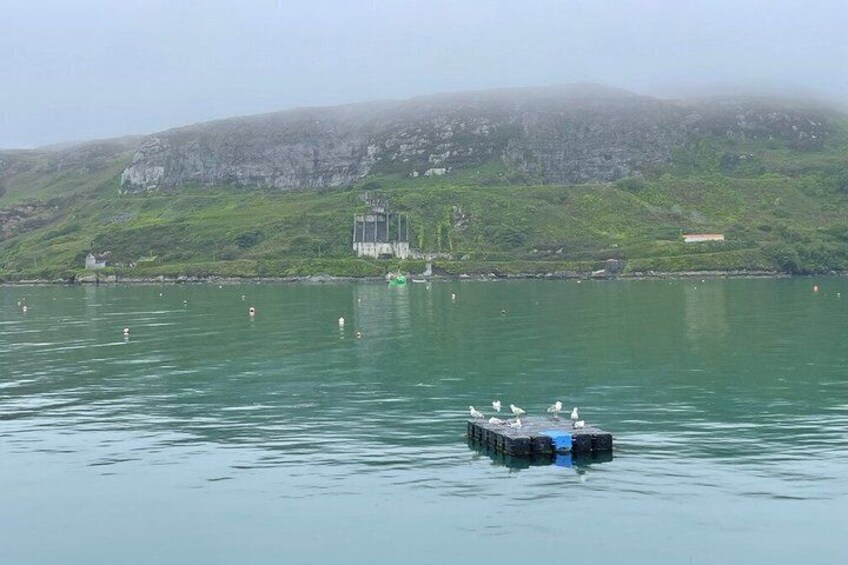 Gougane Barra to Mizen Head - Luxury Chauffeur Guided Day Tour 3