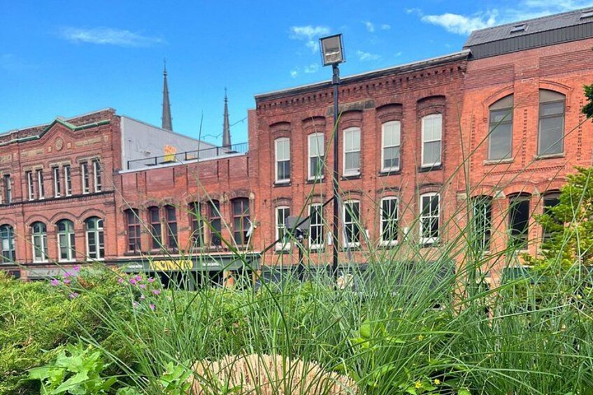 Charlottetown Walking Tour 2