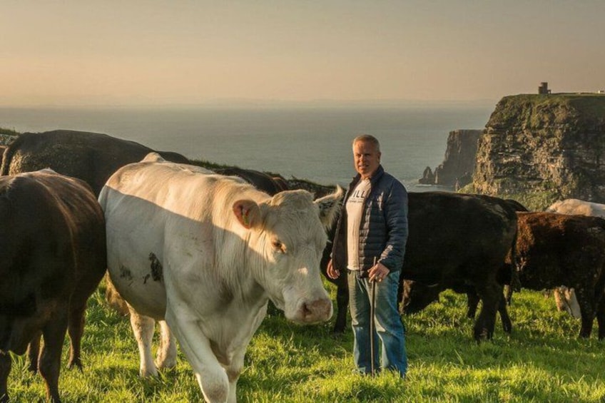 A person standing with cattle on a grassy field near cliffs. 3