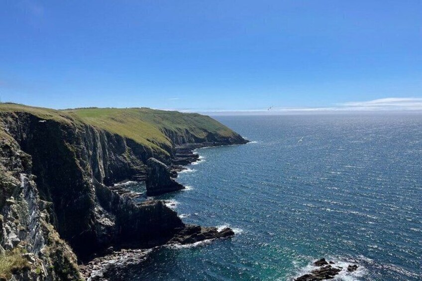 West Corks Hidden Coastal Treasures - Private Day Trip from Cork 4