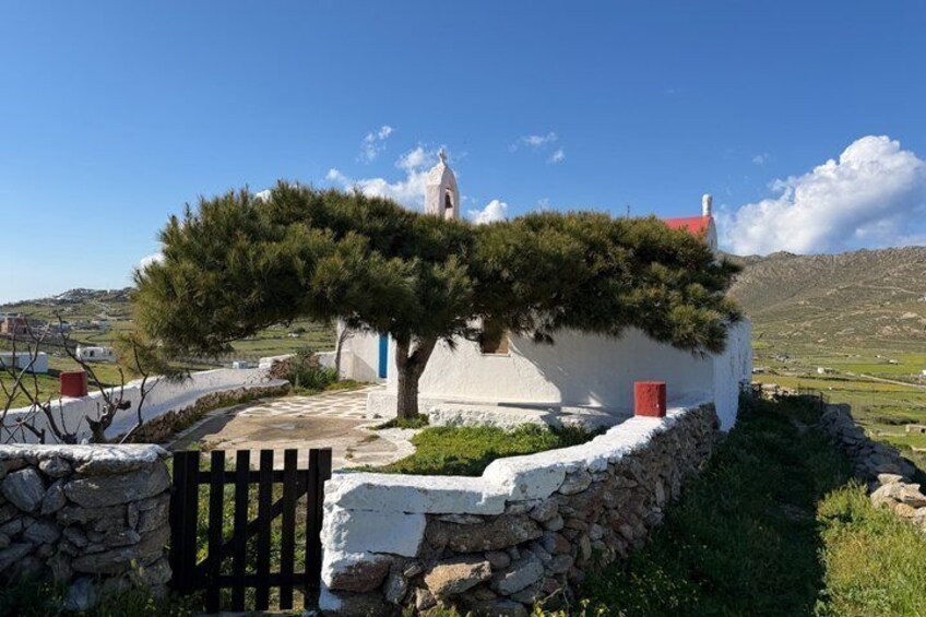 Une église blanche dotée d’un clocher, entourée de murs de pierre et d’un arbre. 1