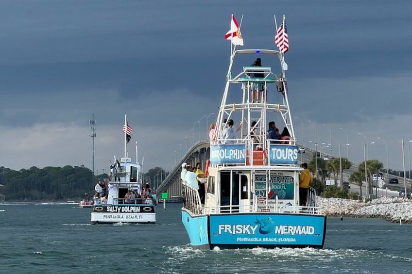 Two boats named 'Salty Dolphin' and 'Frisky Mermaid' on the water with passengers. 3