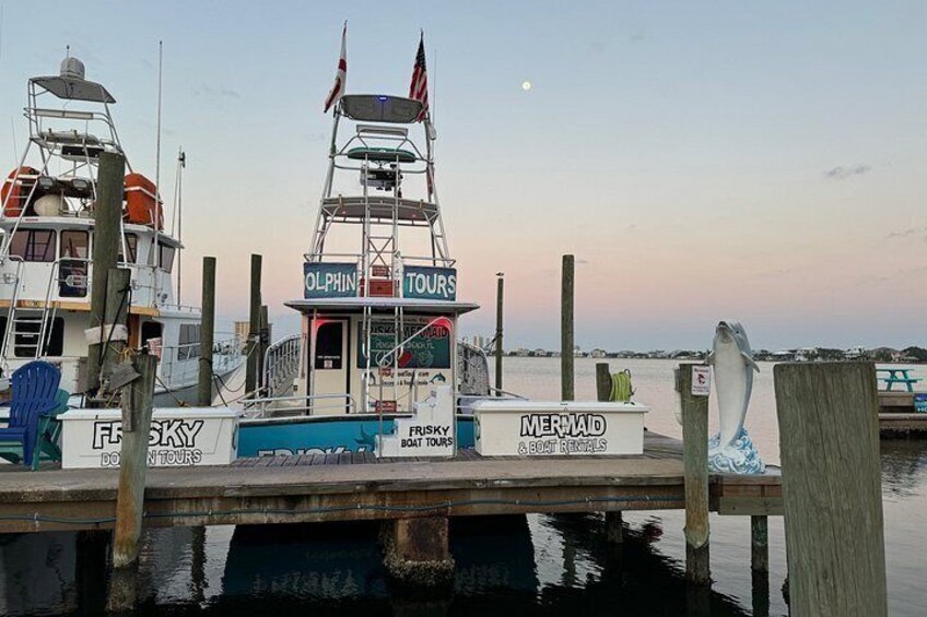 Shared Dolphin Cruise in Pensacola Beach | Frisky Mermaid 2