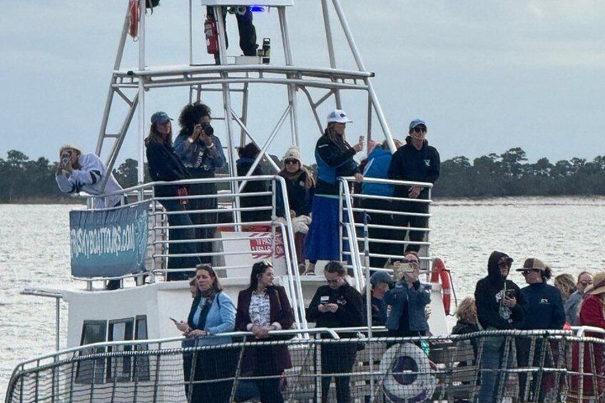 Shared Dolphin Cruise in Pensacola Beach | Frisky Mermaid 4