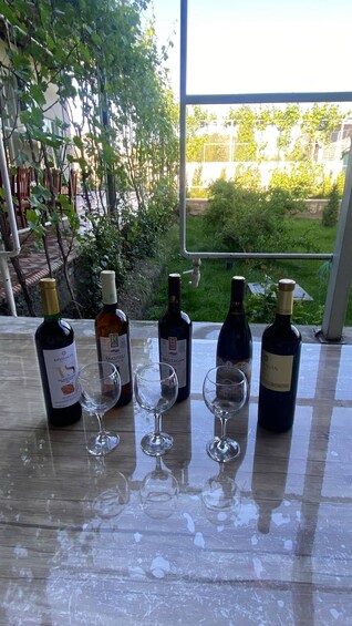 A table with wine bottles and glasses, set outdoors with a view of greenery and a building in the background. 3