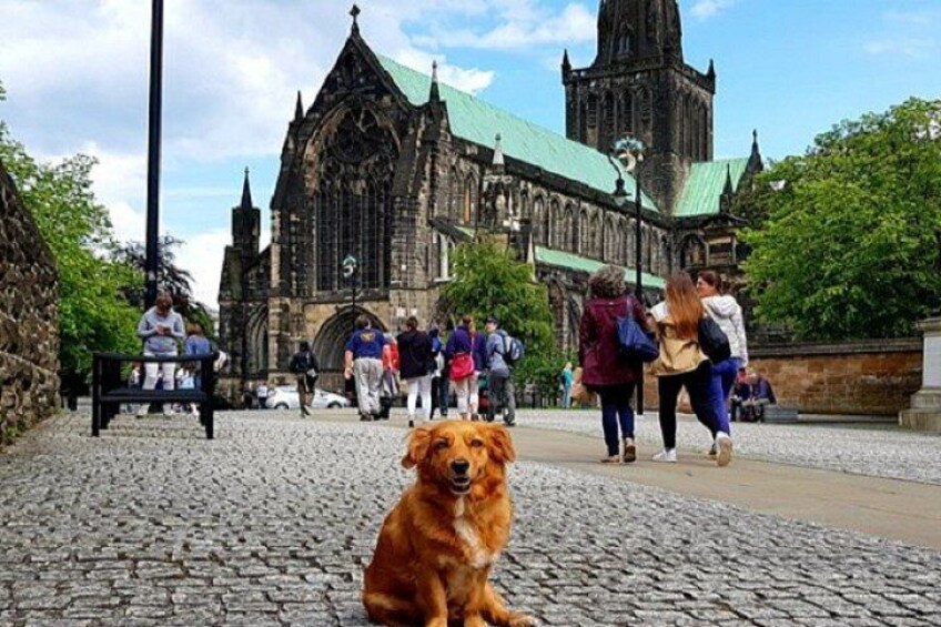 A historic cathedral with a green roof, a cobblestone street, and a dog sitting in the foreground. 1