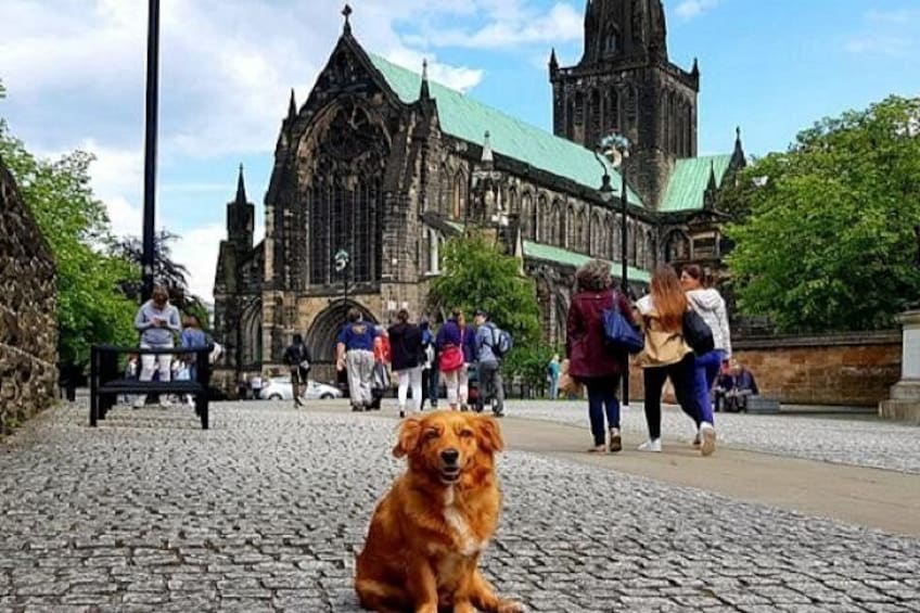 A historic cathedral with a green roof, cobblestone pavement, and a dog sitting in the foreground. 1