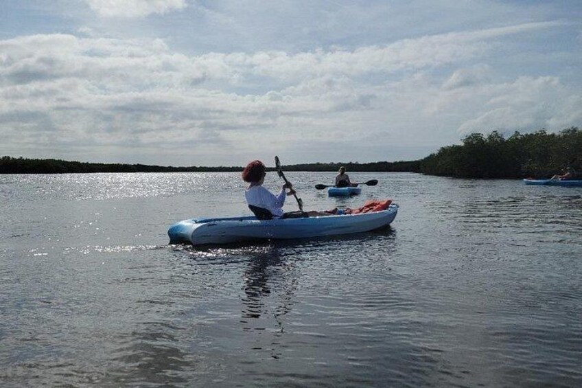 Una persona practica kayak en aguas tranquilas, con una orilla bordeada de bosque al fondo. 4
