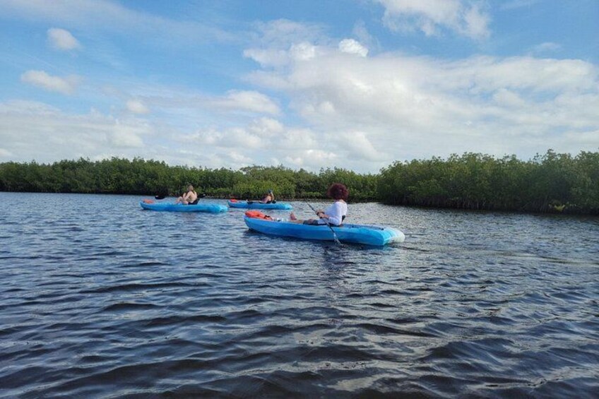Tres kayaks en aguas tranquilas, con una orilla boscosa al fondo. 3