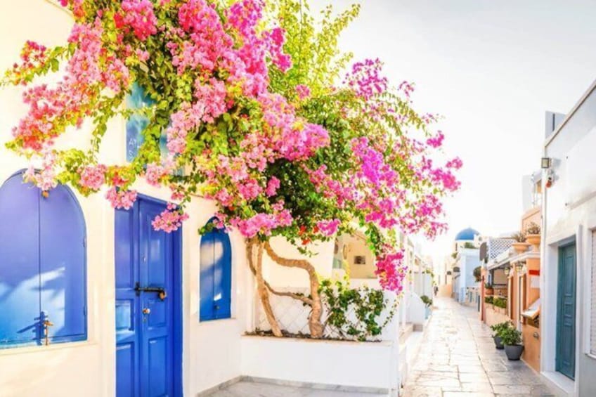 Een smalle straat met witte gebouwen, blauwe deuren en felroze bougainvillea. 4