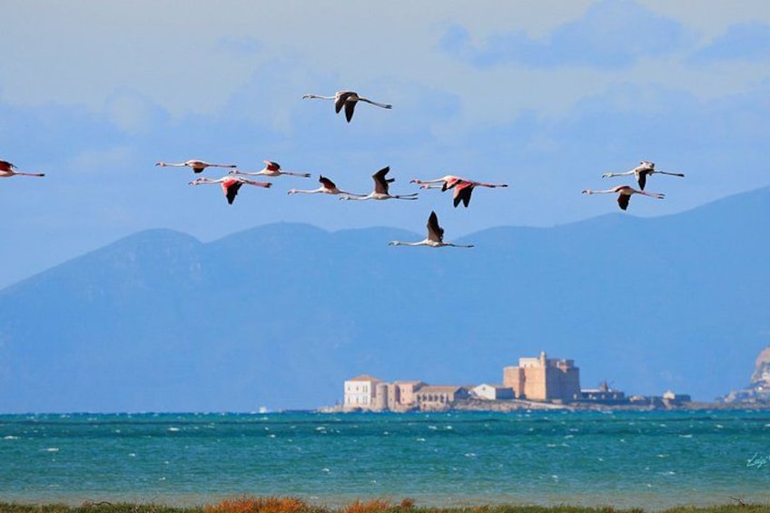 Een kustgezicht met een groep flamingo’s die boven de zee vliegen, een gebouw in de verte en bergen op de achtergrond. 1