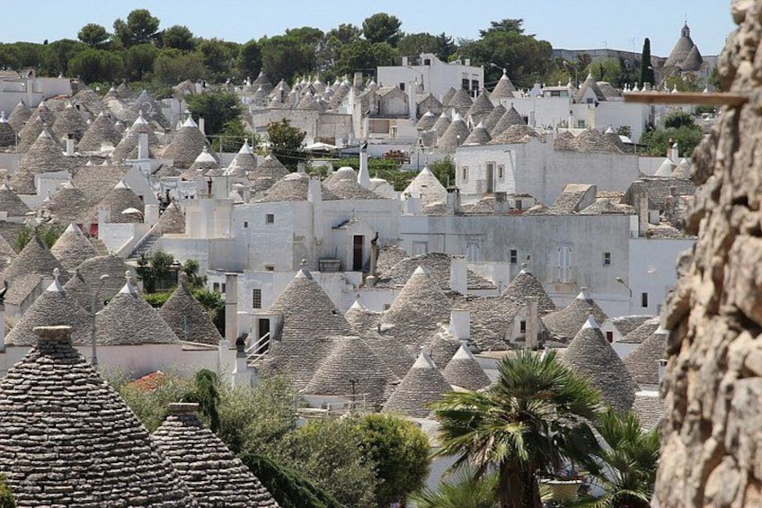 Una cittadina con numerosi edifici a tetti conici, una palma in evidenza e un muro di pietra in primo piano. 3