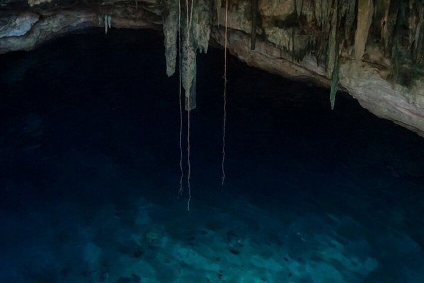 Tres Cenotes Tour from Merida 3