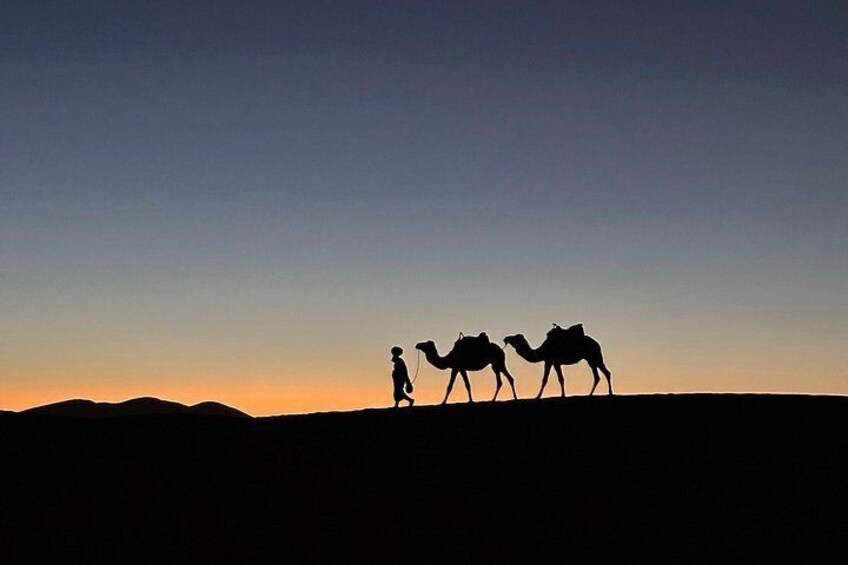 Silueta de una persona guiando camellos en una duna desértica al atardecer. 5