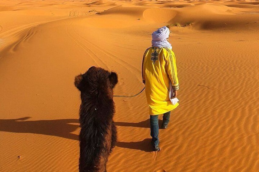 Una persona pasea un perro en un paisaje desértico arenoso. 2