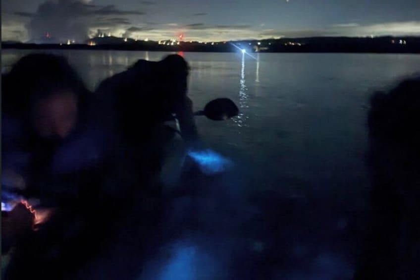 Vieques Biobay Kayak Tour – Return in Time for Ferry 2