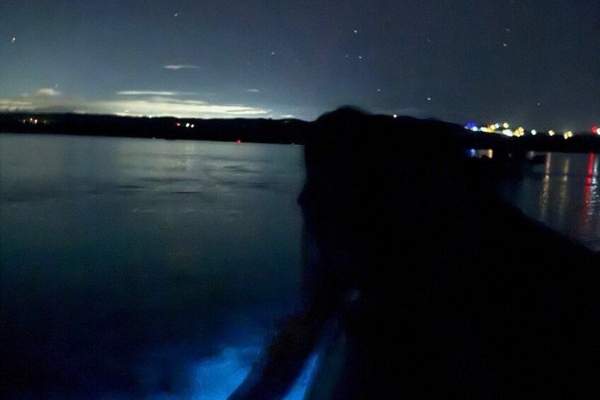 A nighttime view of a calm body of water with a silhouette of a dog on the left and a distant shoreline with lights. 1