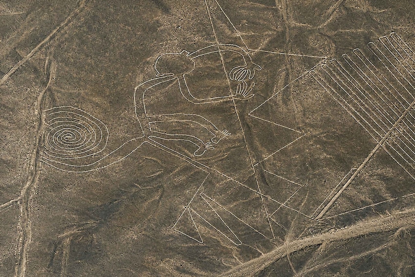 From Nazca: Nazca Lines Flight 3