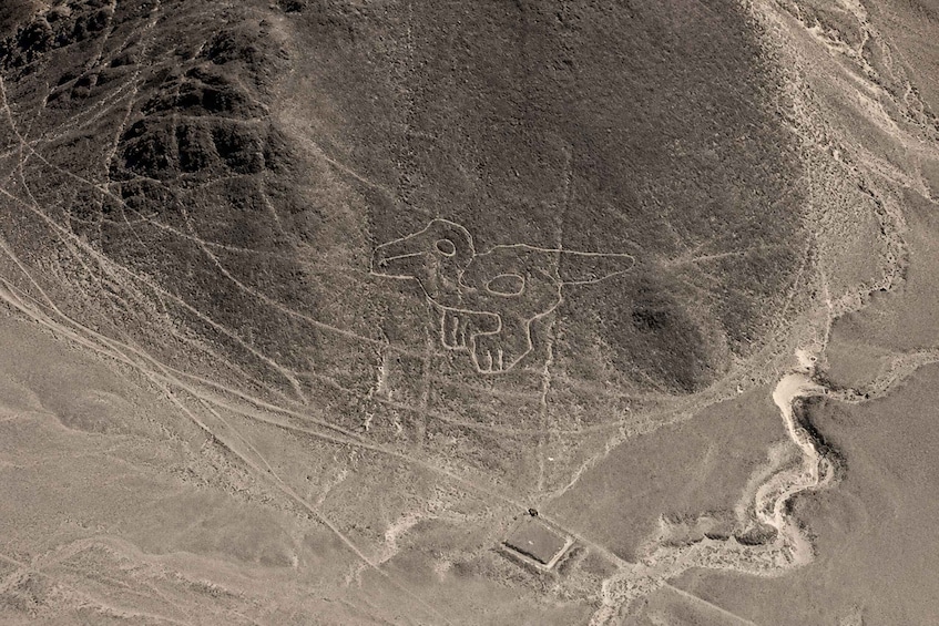 Picture 2 for Activity From Nazca: Nazca Lines Flight 5