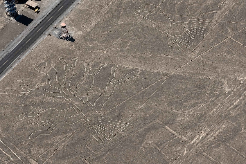 Picture 4 for Activity From Nazca: Nazca Lines Flight 2