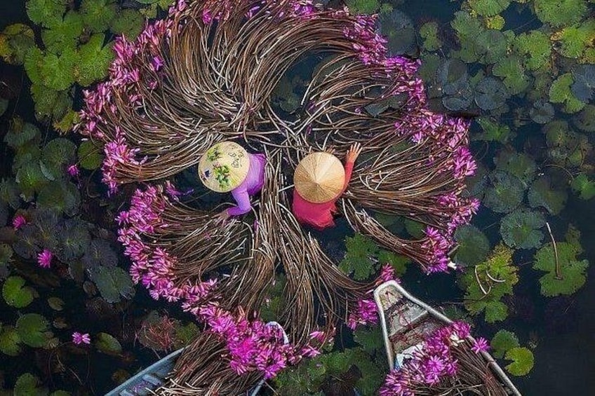 Una persona su una barca, circondata da fiori di loto e vegetazione. 2