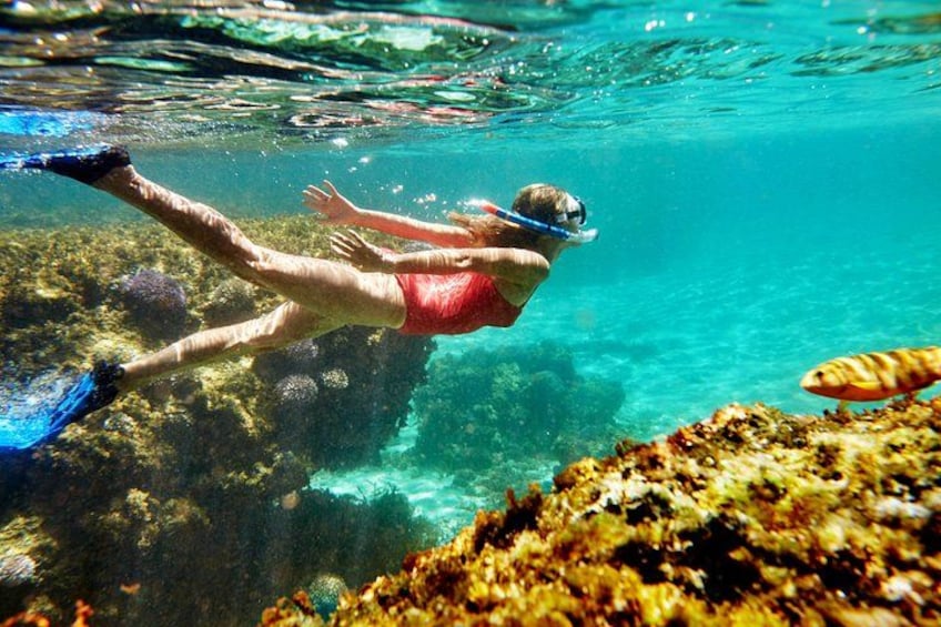Private All-inclusive Rottnest Island Luxury Tour from Perth 5