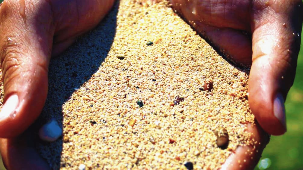 Hands holding sand with small shells and grains. 2