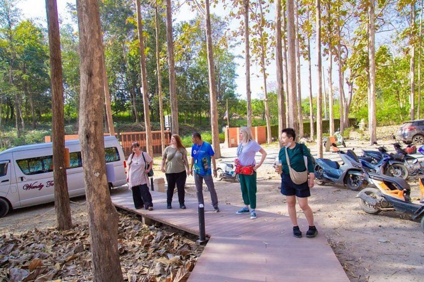 A group of people walking on a path in a wooded area with trees and parked vehicles. 3