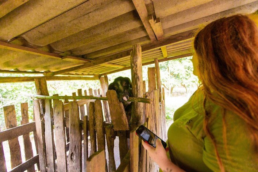 A person taking a photo of a dog under a wooden structure. 5