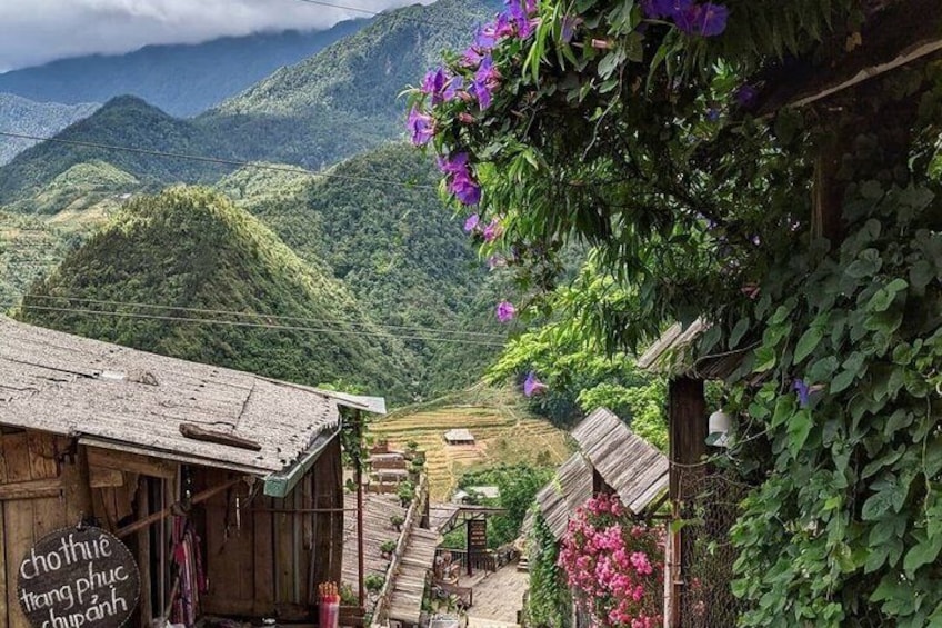 A rustic wooden building with a sign, lush green hills, and purple flowers in the foreground. 1