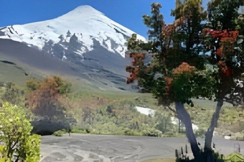 A snow-capped mountain, a clear sky, and a tree with autumn leaves. 3