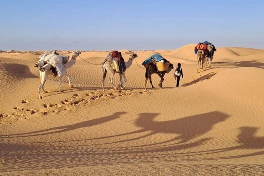 Camels with riders in a desert landscape. 1
