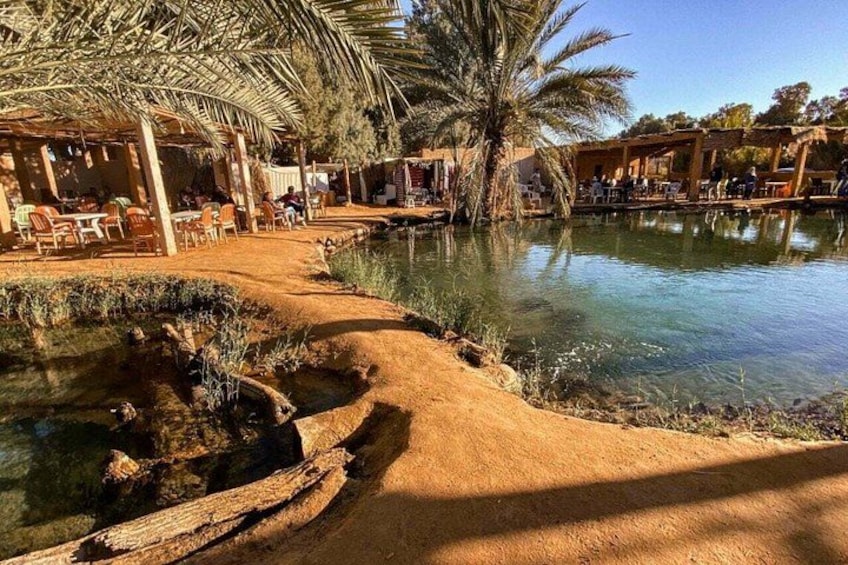 A riverside area with a sandy path, palm trees, and outdoor seating under a shaded structure. 3