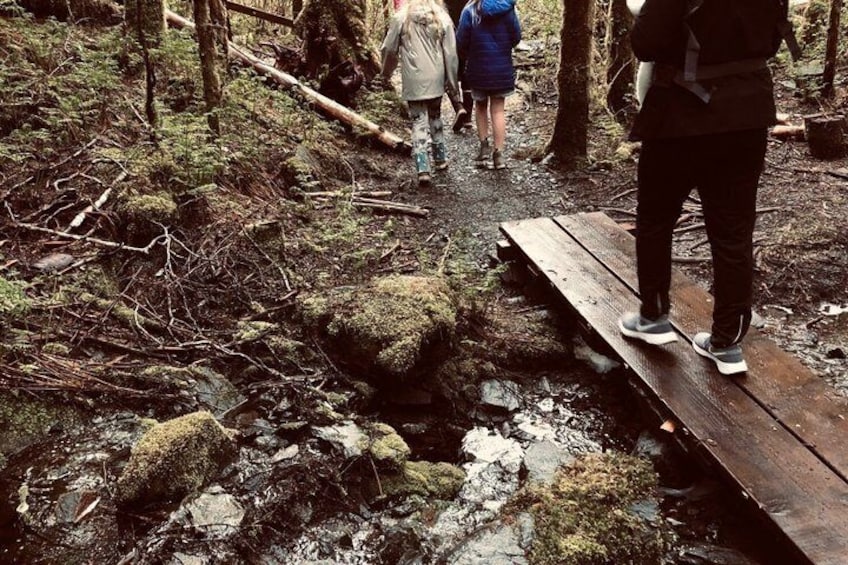A wooden bridge over a rocky stream in a forest. 5