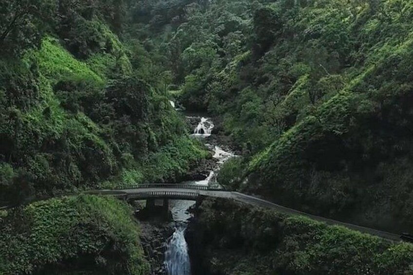 Private Open-Air Road to Hana Tour 6 hour (max 14 guests) 3