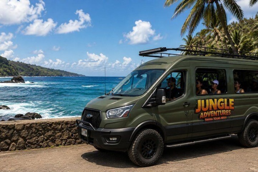 Private Open-Air Road to Hana Tour 6 hour (max 14 guests) 1