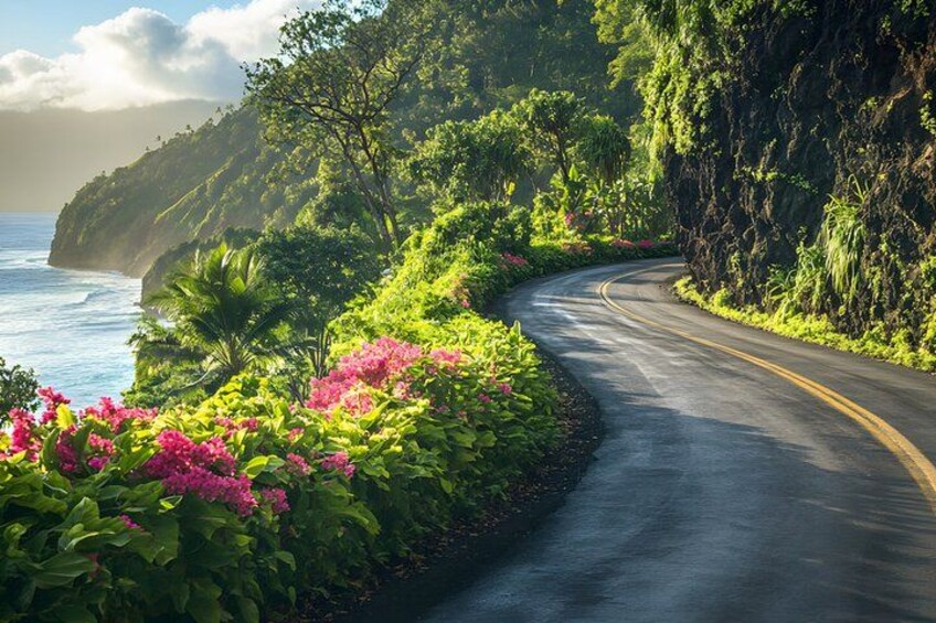 Private Open-Air Road to Hana Tour 6 hour (max 14 guests) 5