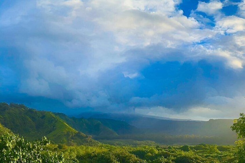 Private Open-Air Road to Hana Tour 6 hour (max 14 guests) 4