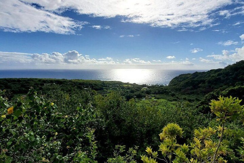 Private Open-Air Road to Hana Tour 6 hour (max 14 guests) 2